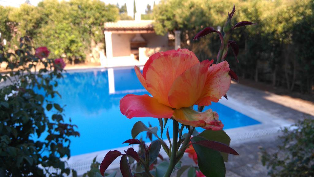 Cha Nanakas Village Hotel de apartamente Potamós